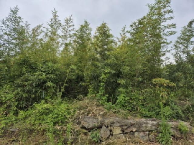 B000411202501300116881.jpg