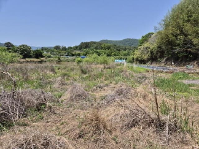 B000411202501300117073.jpg