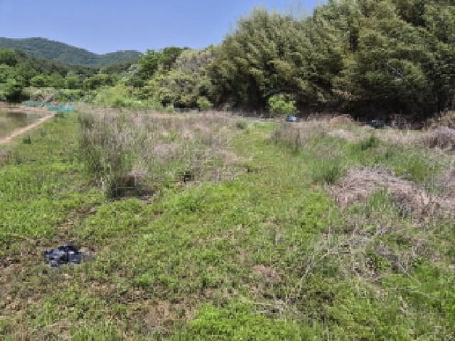 B000411202501300117074.jpg