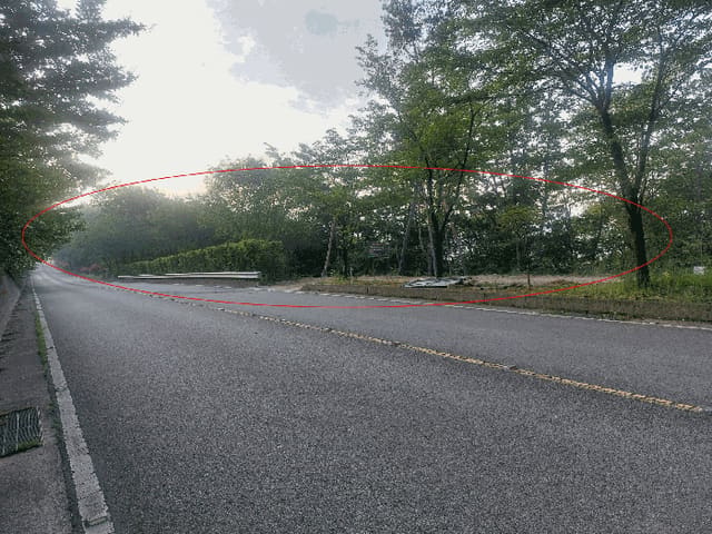 B000411202501300117644.jpg