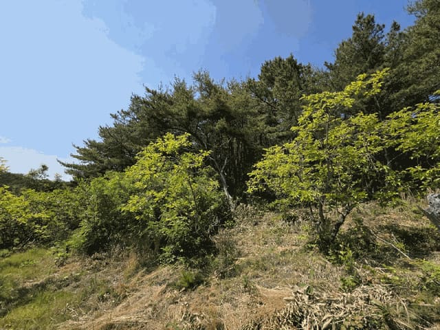 B0004112025013001184118.jpg