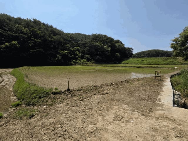 B0004112025013001184125.jpg