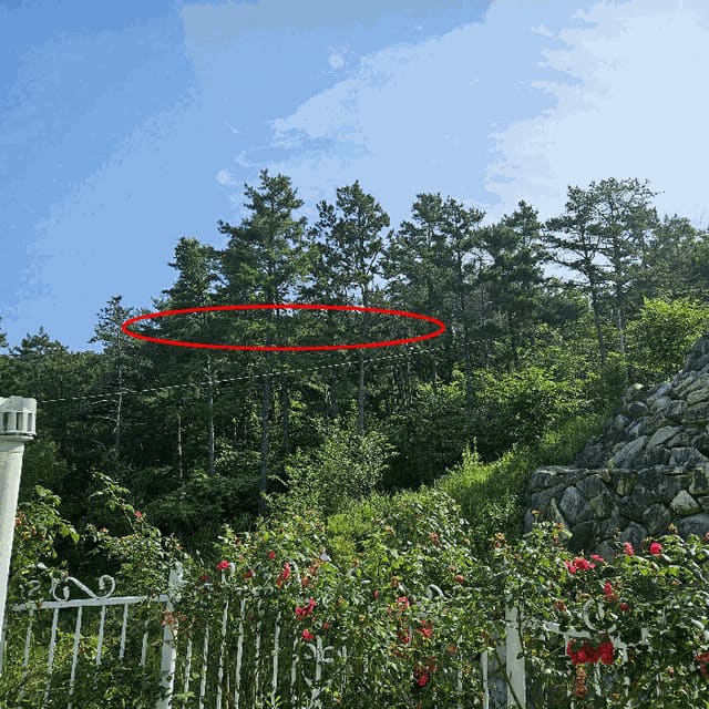 B0004112025013001192617.jpg