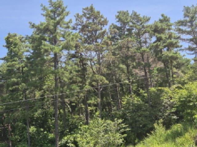 B000411202501300119264.jpg