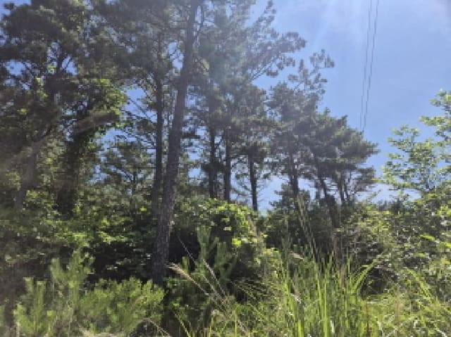 B000411202501300119263.jpg