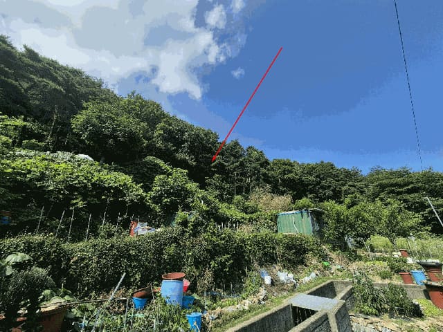 B000411202501300119516.jpg