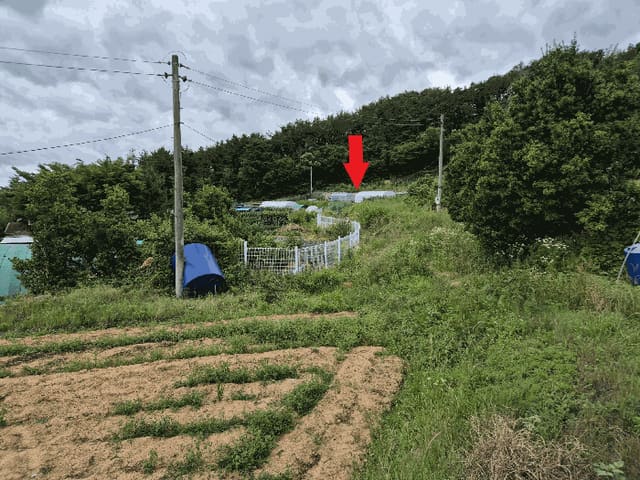 B0004112025013001199311.jpg