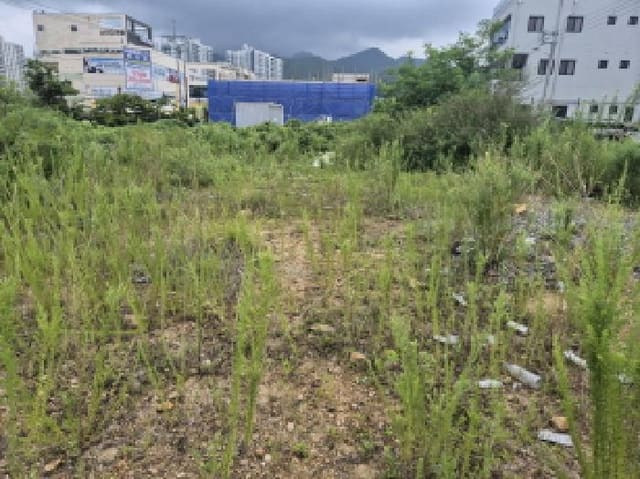 B000411202501300119961.jpg