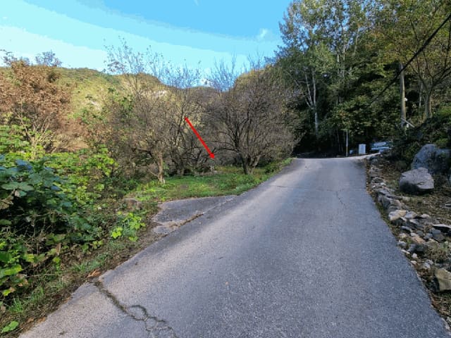 B000411202501300120651.jpg