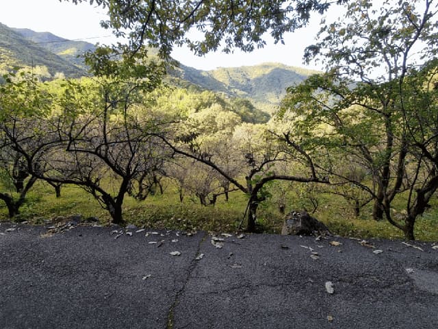 B000411202501300120653.jpg