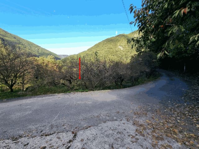 B000411202501300120652.jpg
