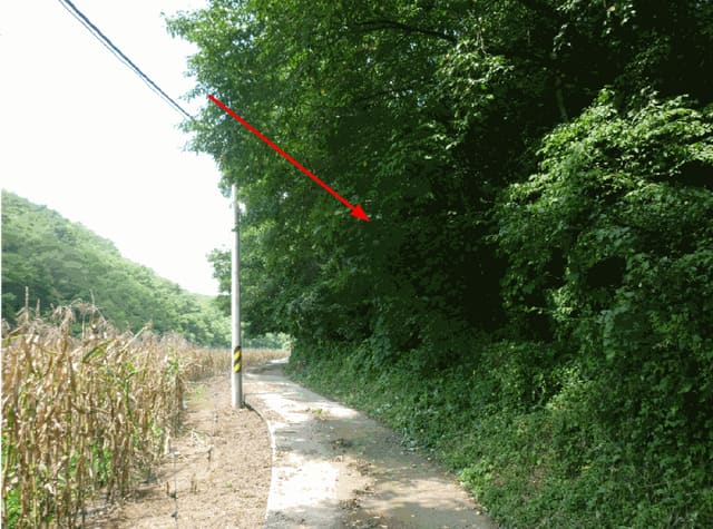 B000411202501300121293.jpg