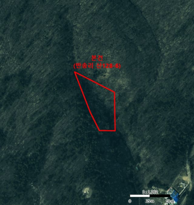 B000411202501300121502.jpg