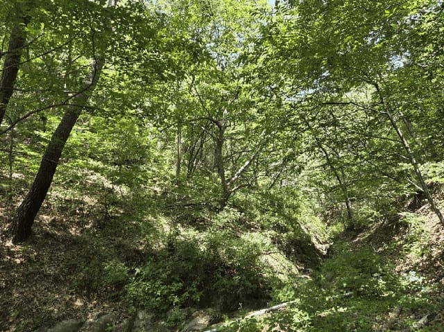 B000411202501300121501.jpg
