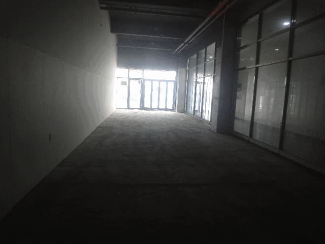 B000411202501300121613.jpg