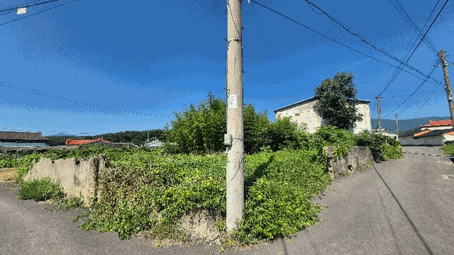 B000411202501300122132.jpg
