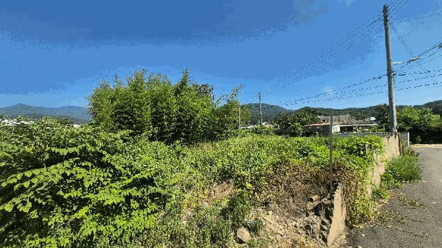 B000411202501300122134.jpg