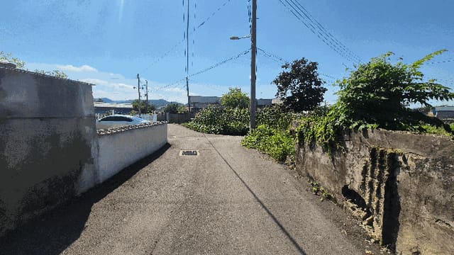 B000411202501300122133.jpg