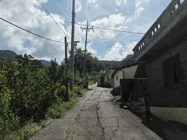 B000411202501300122714.jpg