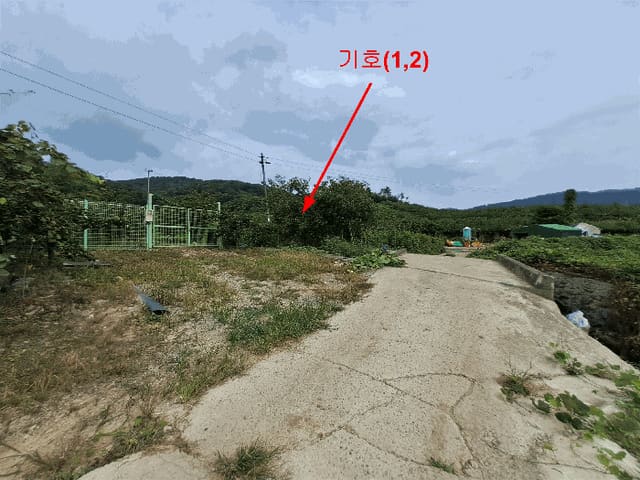 B0004112025013001241319.jpg