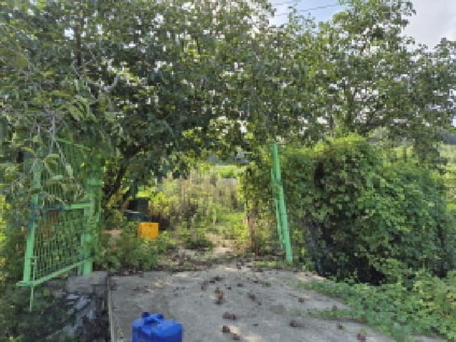 B000411202501300124482.jpg
