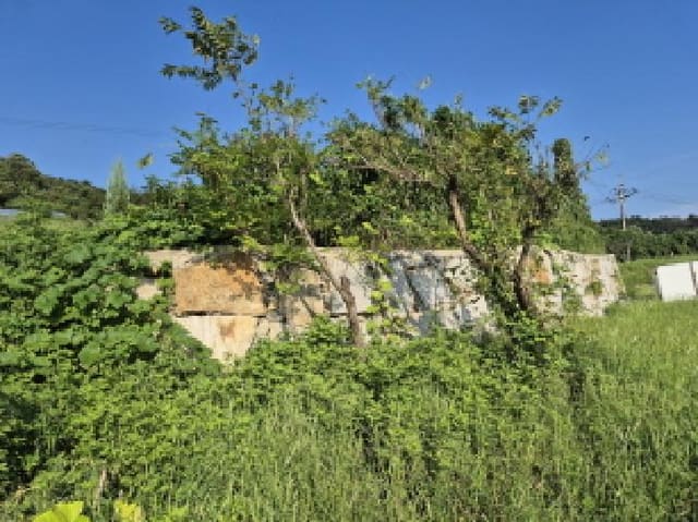 B000411202501300124544.jpg