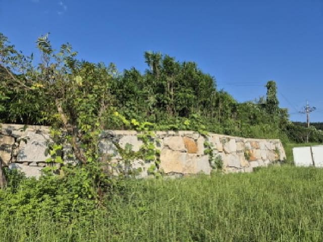 B000411202501300124543.jpg
