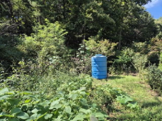 B000411202501300125003.jpg