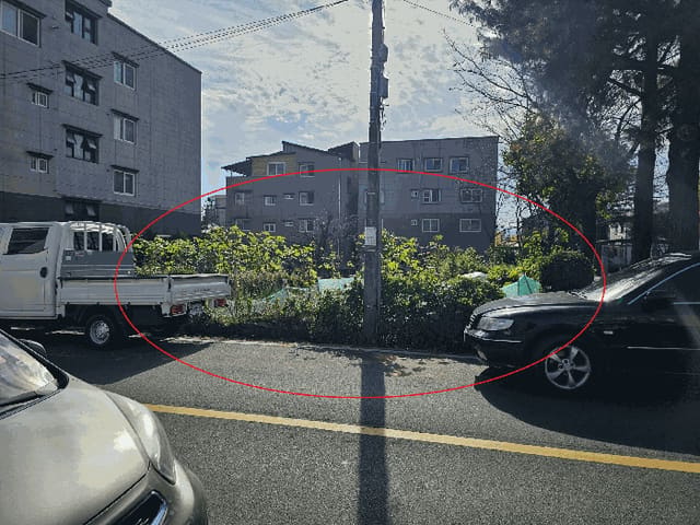 B000411202501300127464.jpg