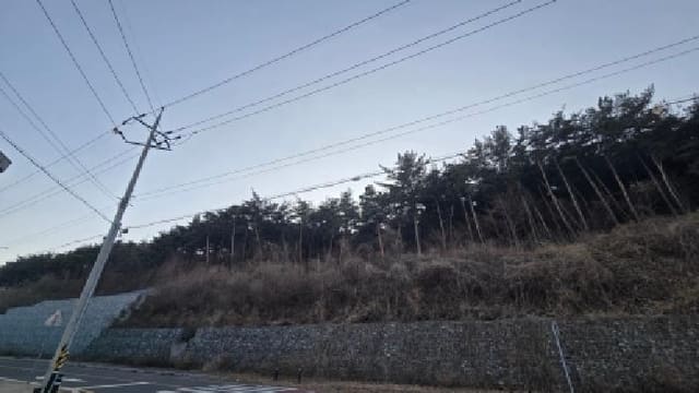 B000411202501300129492.jpg