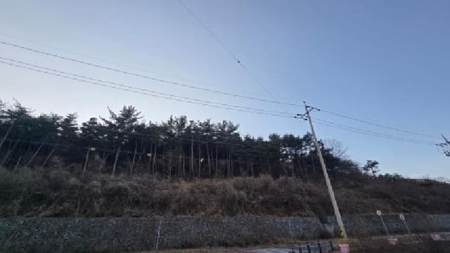 B000411202501300129491.jpg