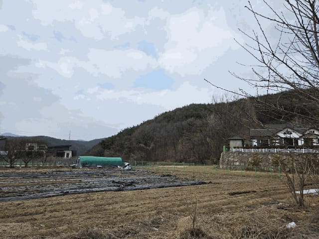 B000411202601300001024.jpg