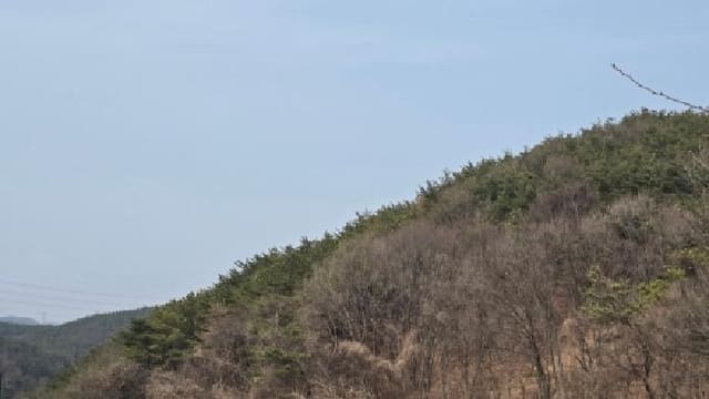 B000411202601300001021.jpg