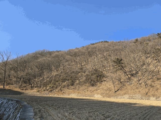 B000411202601300101004.jpg