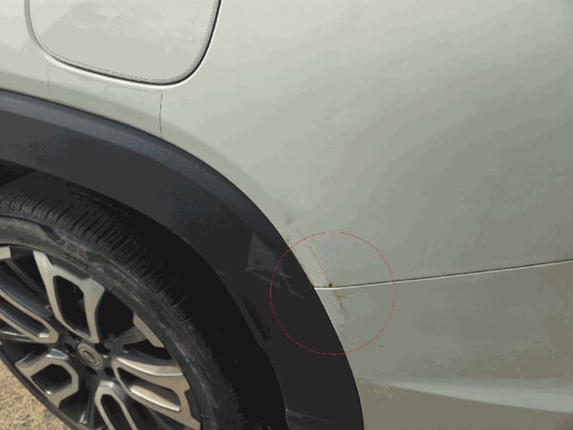 B000411202601300102854.jpg
