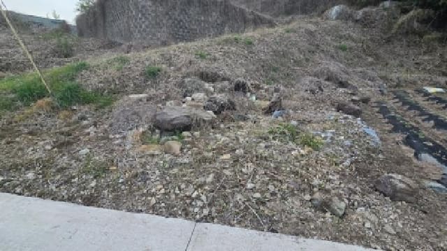 B000411202601300103754.jpg