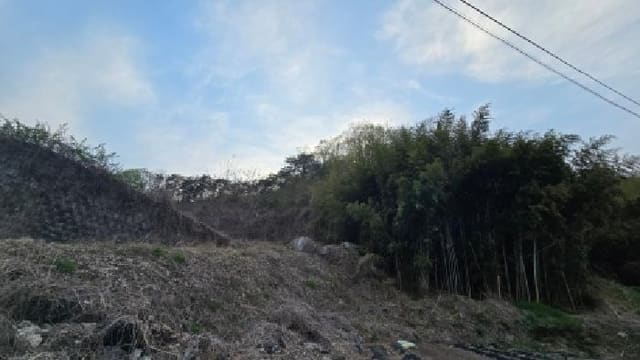B000411202601300103751.jpg