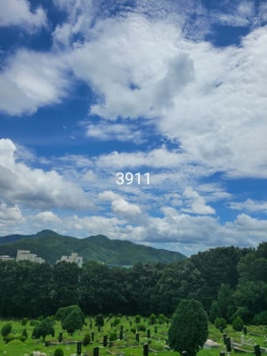 B000412202401300039112.jpg
