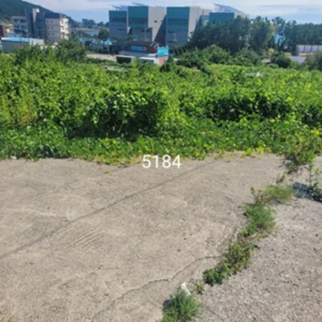B000412202401300051842.jpg