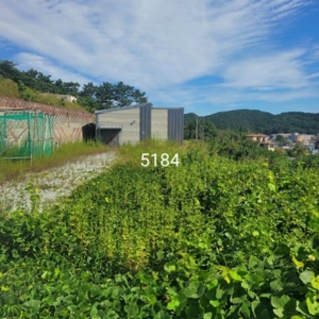 B000412202401300051843.jpg