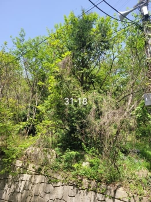 B000412202401301038283.jpg