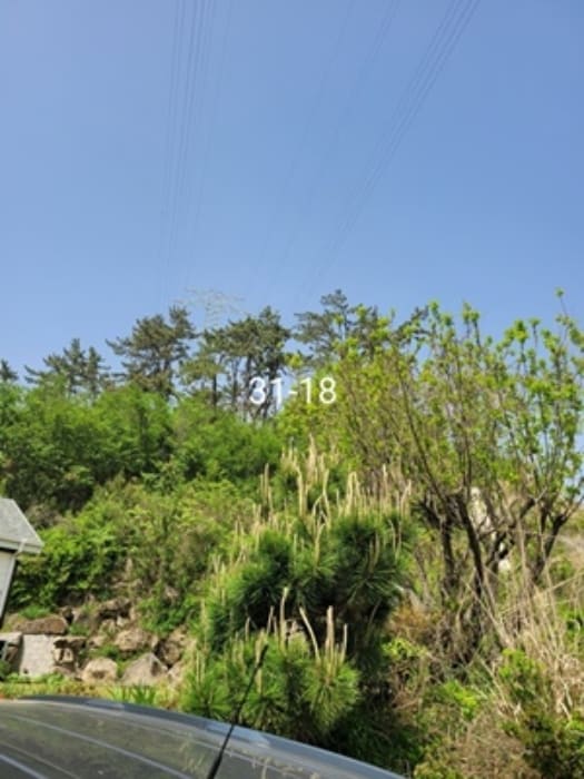 B000412202401301038284.jpg