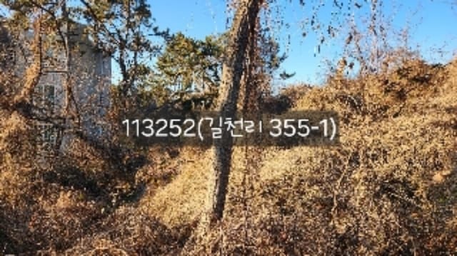 B000412202401301132522.jpg