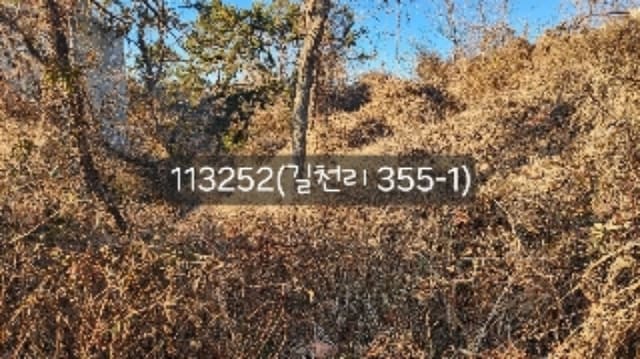 B000412202401301132521.jpg