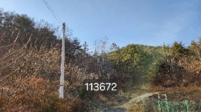 B000412202401301136723.jpg