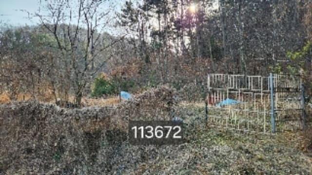 B000412202401301136722.jpg