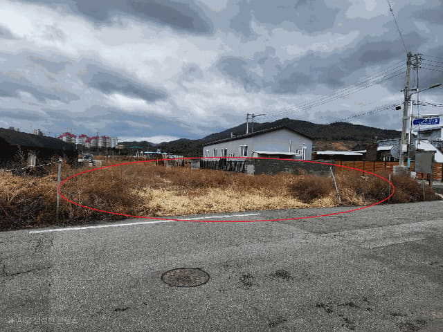 B000412202501300004174.jpg