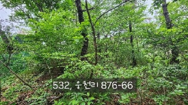 B000412202501300005322.jpg