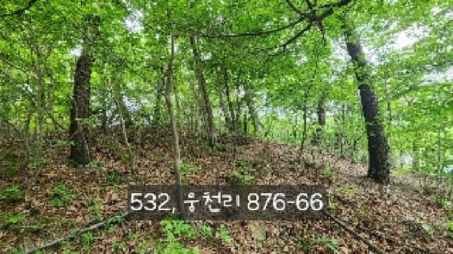 B000412202501300005321.jpg