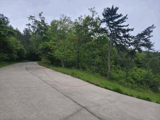 B000412202501300005343.jpg